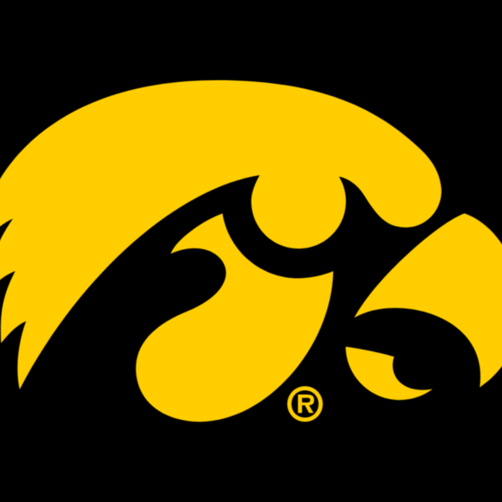 Tigerhawk